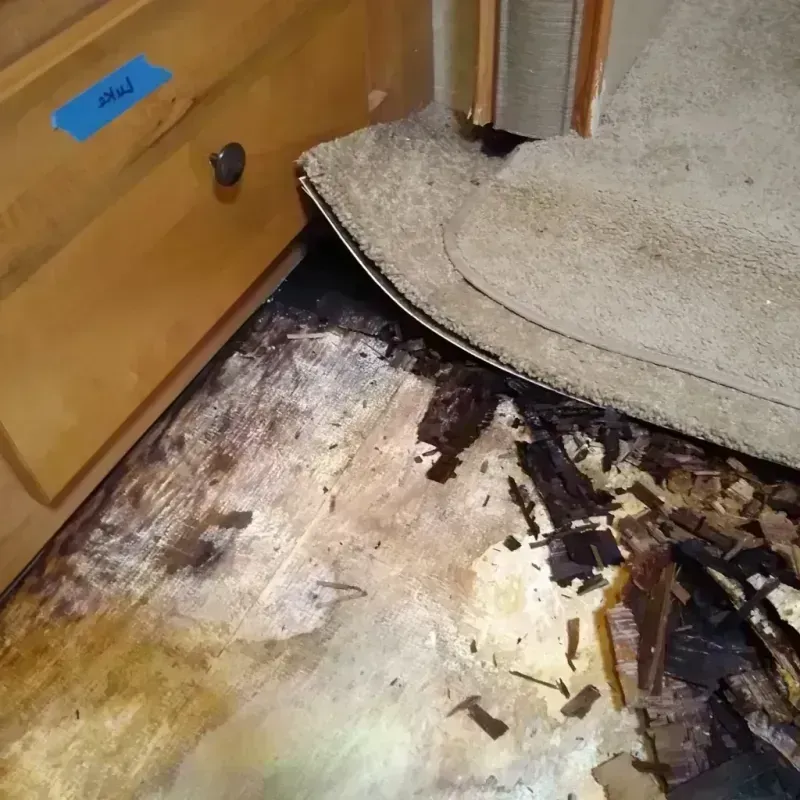 Wood Floor Water Damage in Falls County, TX